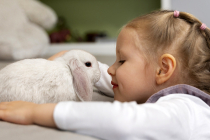 Quel rongeur choisir pour un enfants ? 6 NAC facilent à élever !